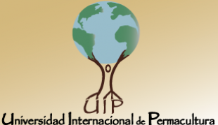 Scholarship Fund - International Permaculture University